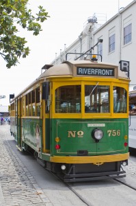 savannah trolley