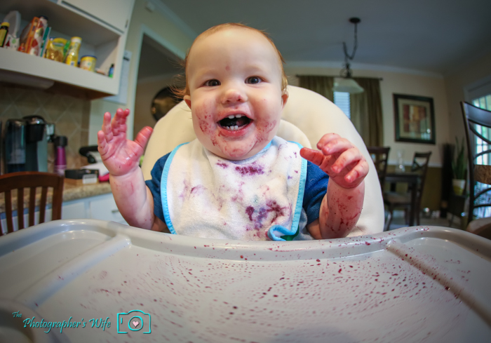 Trent Blueberries_