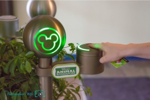Disney RFID Pass 2