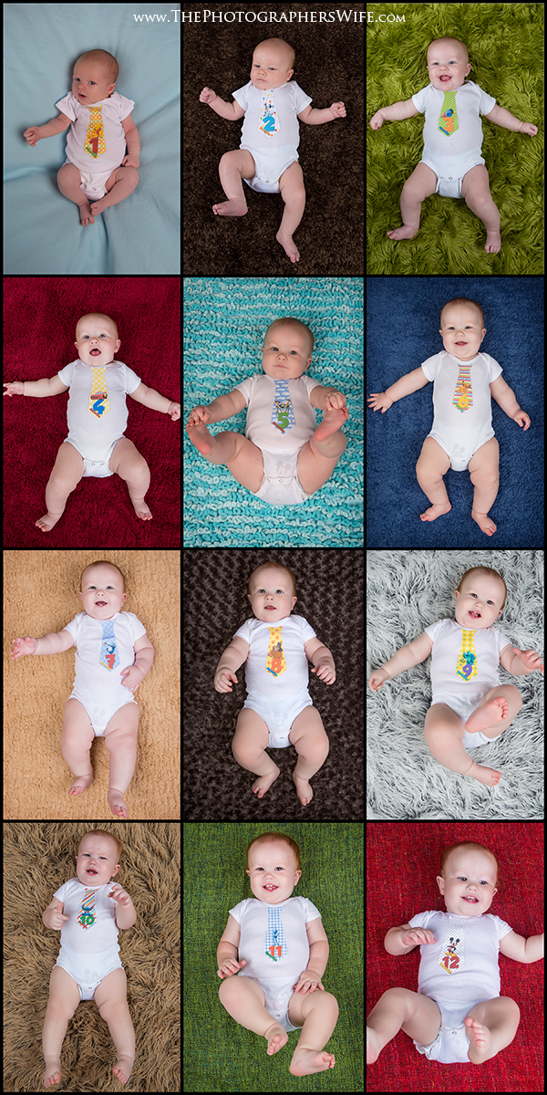 Trents Growth-2