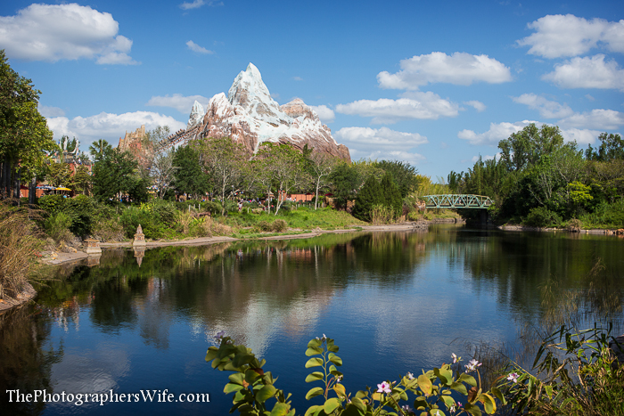 First Disney Trip-221