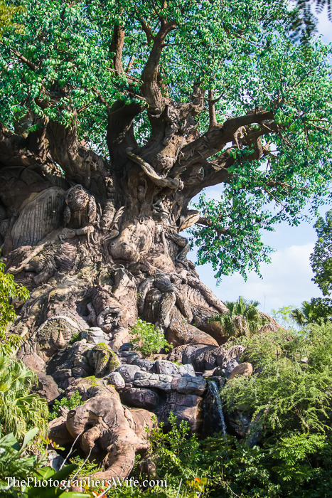 First Disney Trip-231