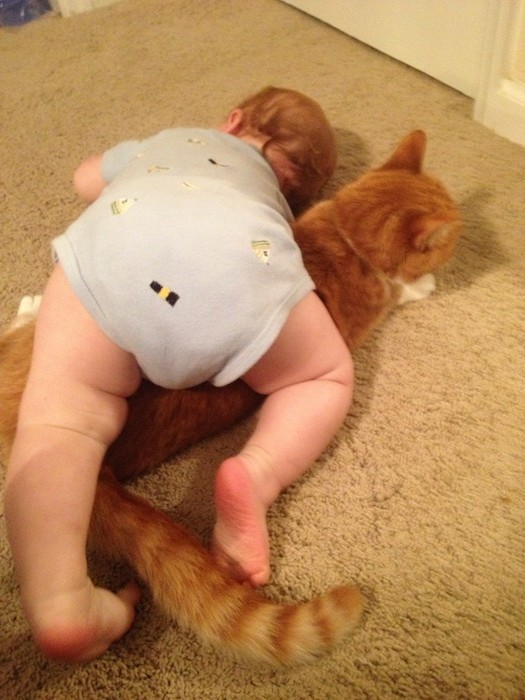 Kitty