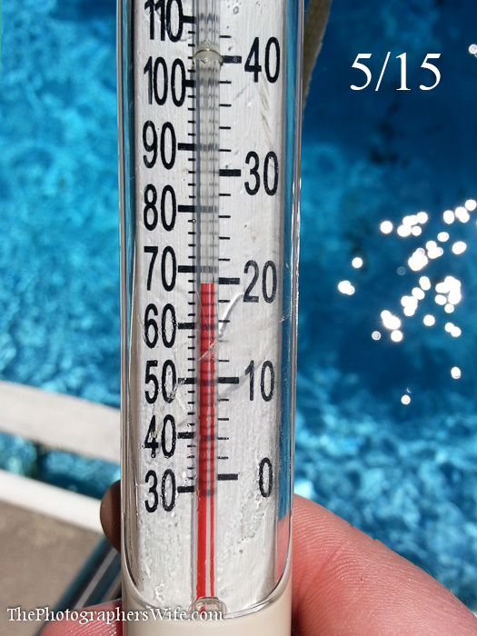 pool cover-4