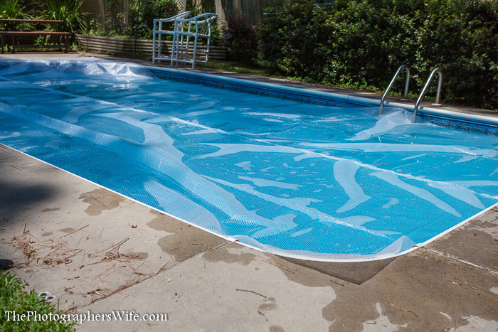 pool cover-5