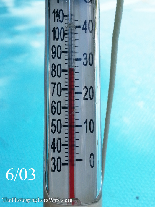 pool cover-7