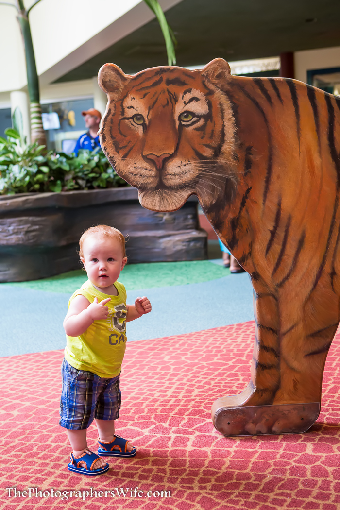 Disney June Day 1-1