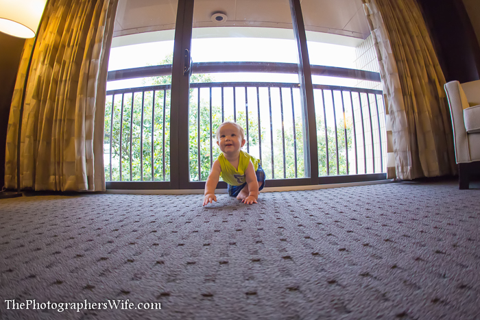 Disney June Day 1-20