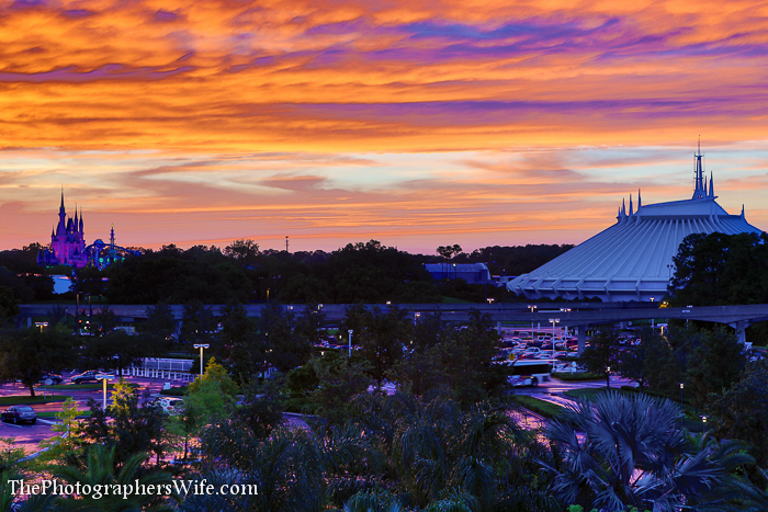 Disney June Day 1-21