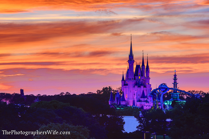 Disney June Day 1-22