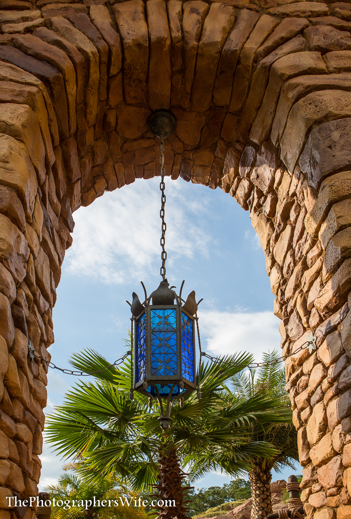 Disney June Day 3-24