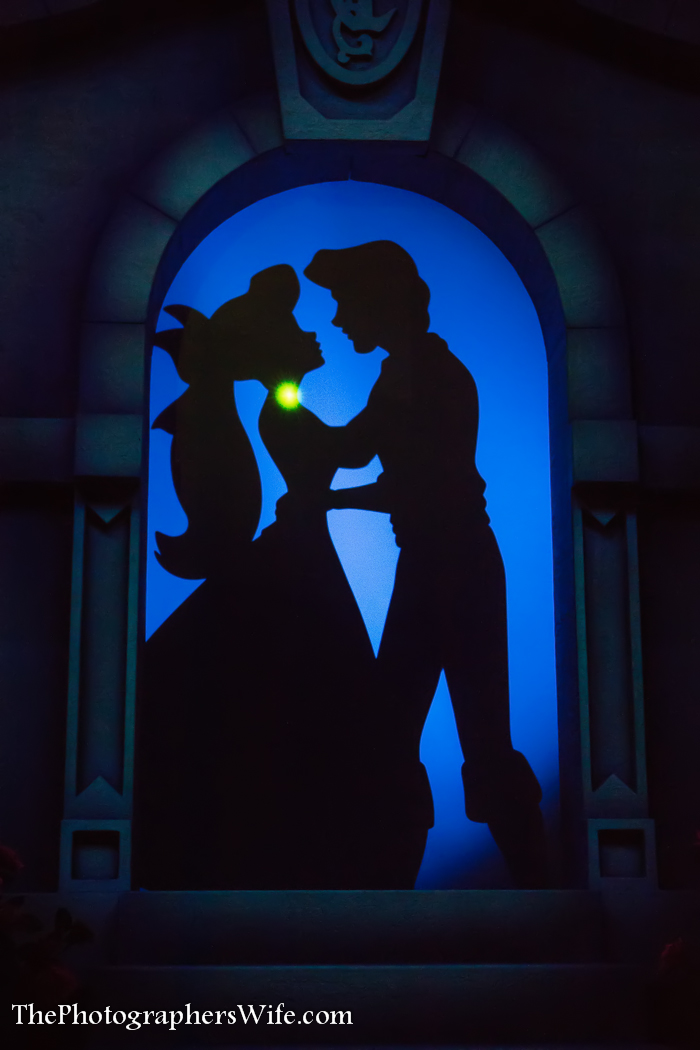 Disney June Day 3-32