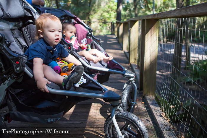 Tallahassee Museum-6