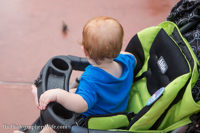 Disney June Day 5-14