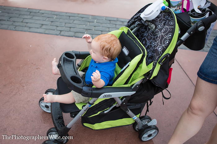 Disney June Day 5-29