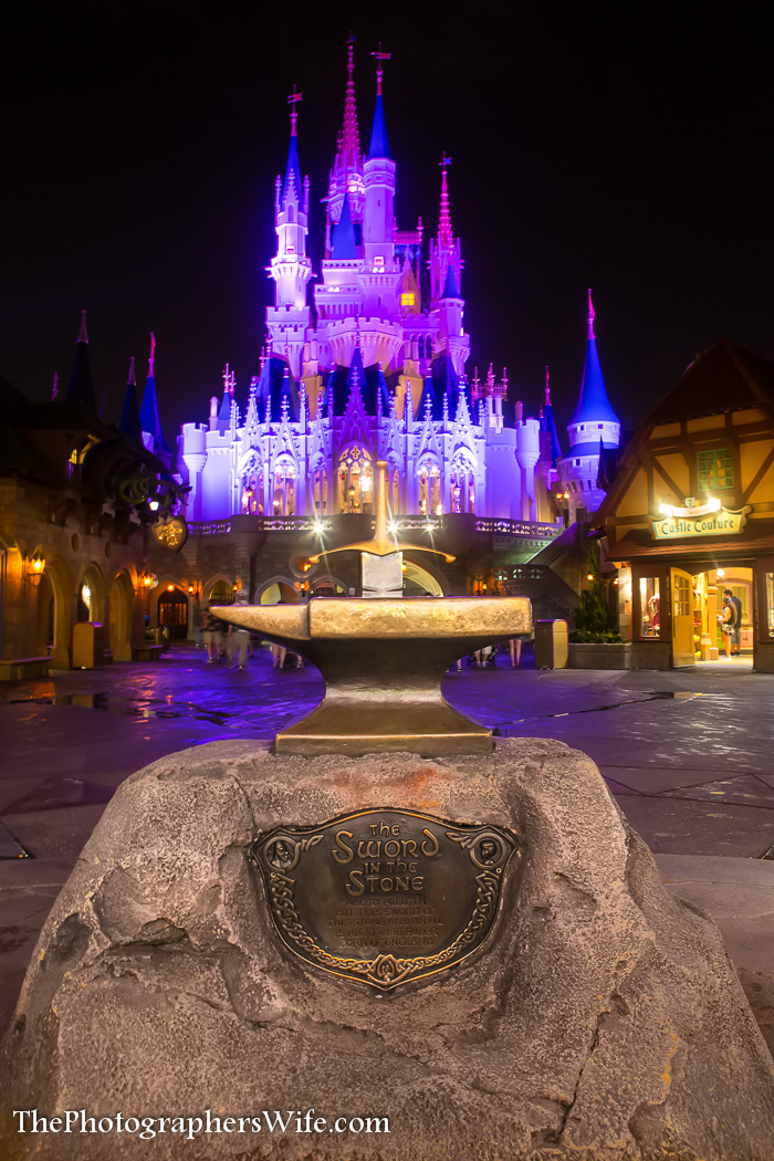 Disney June Day 5-64