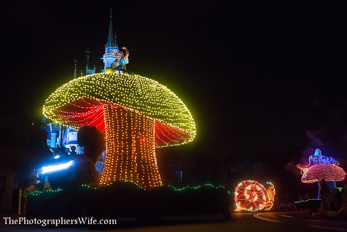 Disney June Day 5-69