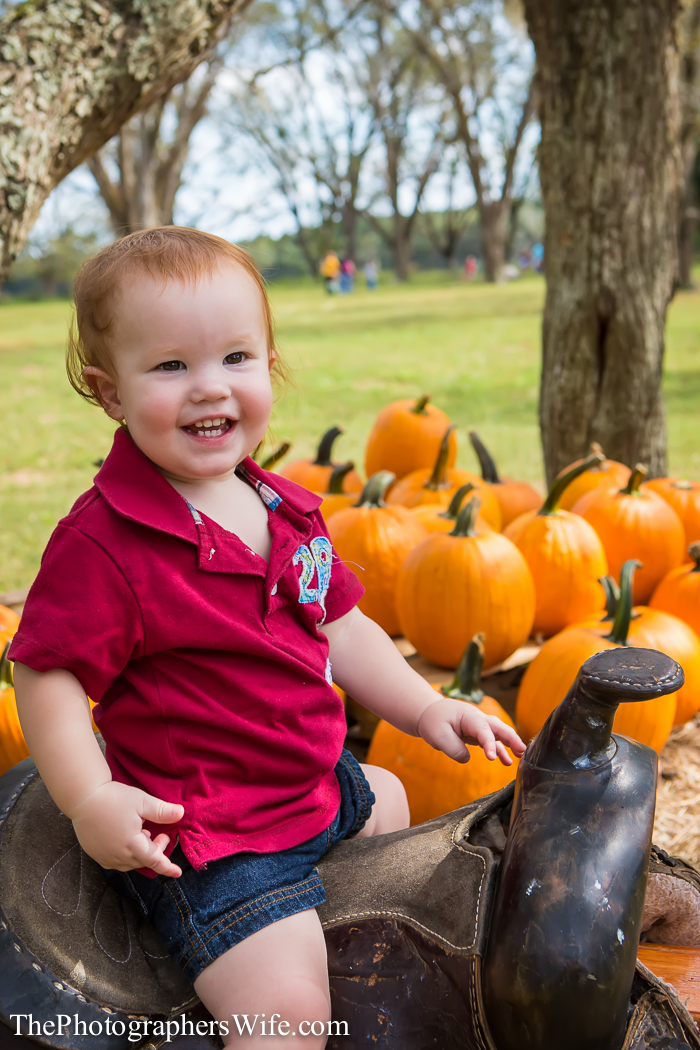 Fall Farm Visit 11