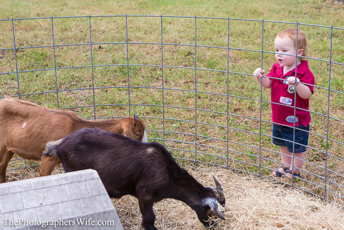 Fall Farm Visit 14