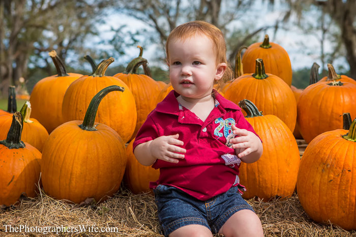 Fall Farm Visit 15