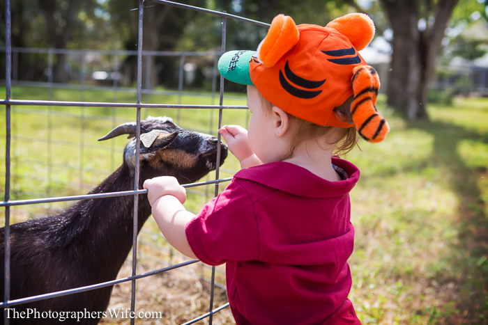 Fall Farm Visit 2