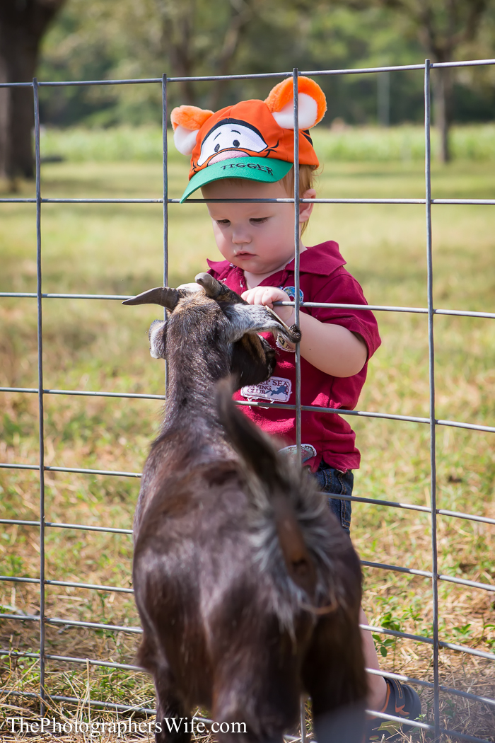 Fall Farm Visit 3