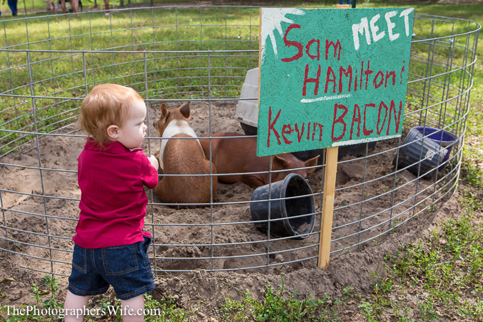 Fall Farm Visit 4