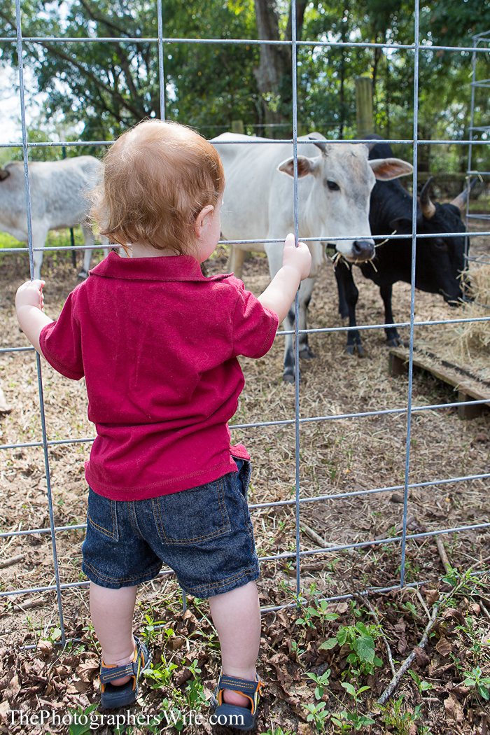 Fall Farm Visit 5