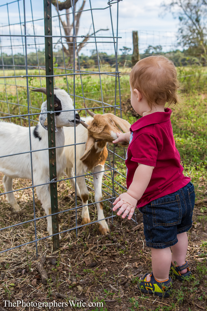 Fall Farm Visit 7