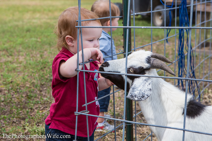 Fall Farm Visit 9