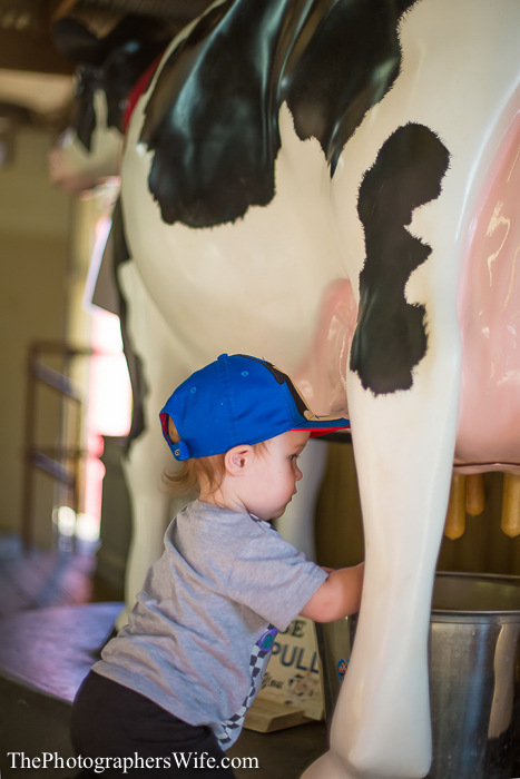 Fair 2013-12