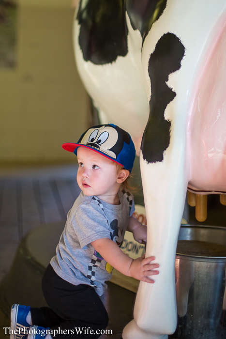 Fair 2013-13