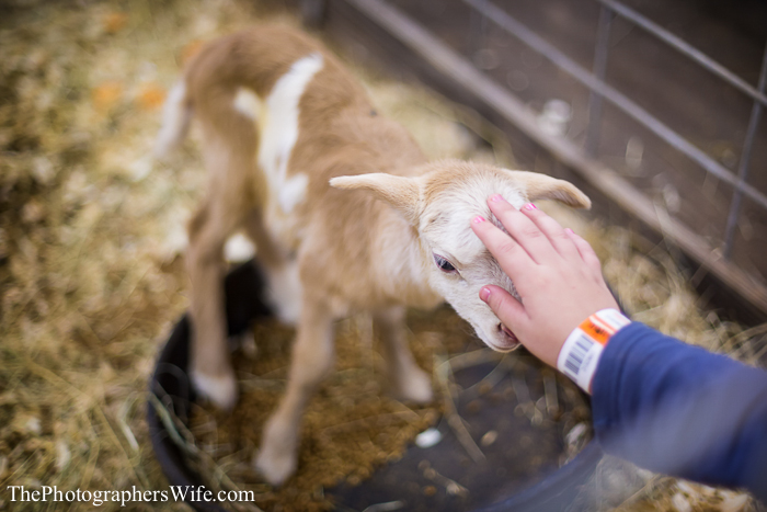 Fair 2013-15
