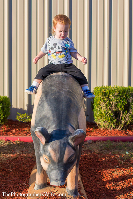 Fair 2013-17