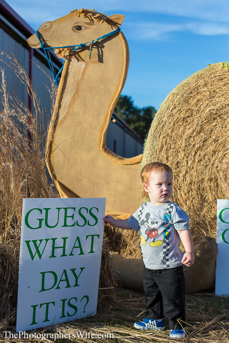 Fair 2013-18