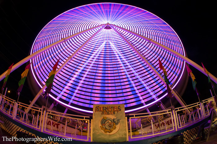 Fair 2013-59