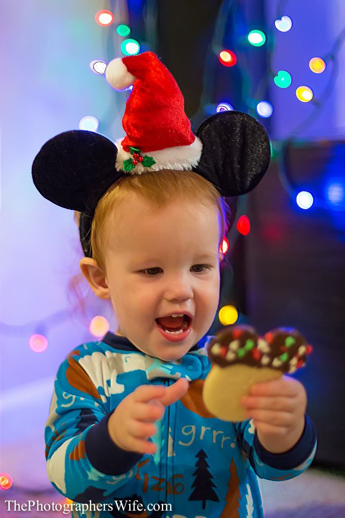 Mickey cookies-9