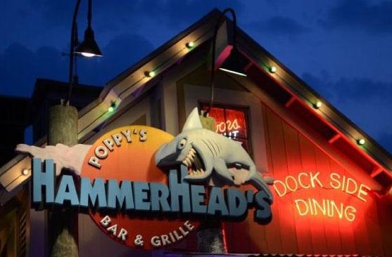 Hammerheads