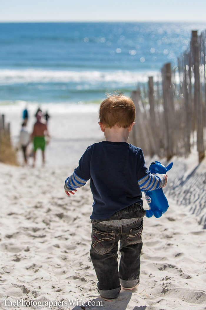 Seaside and Destin FL-14