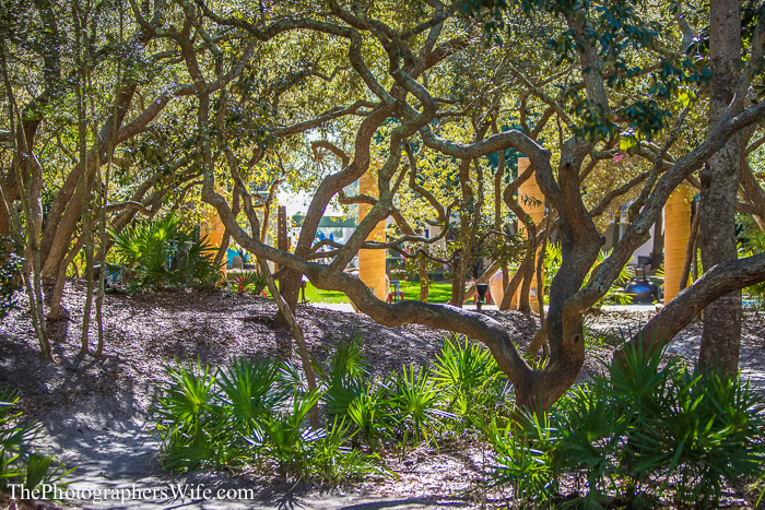 Seaside and Destin FL-4