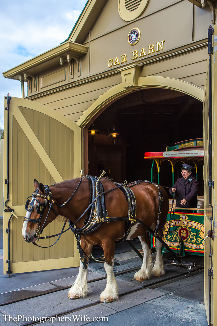 January Disney Trip-101