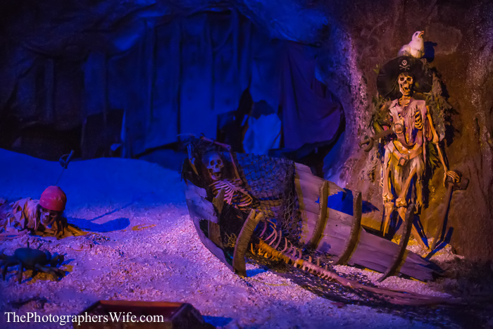 January Disney Trip-115