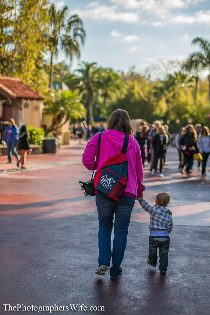 January Disney Trip-121