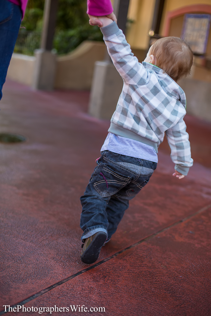 January Disney Trip-122
