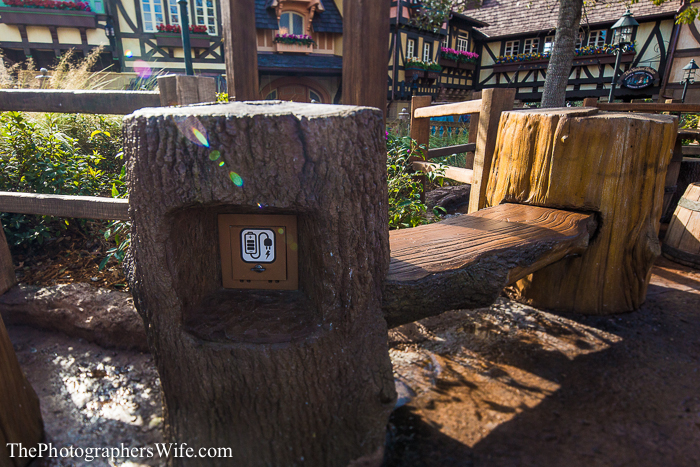 January Disney Trip-127