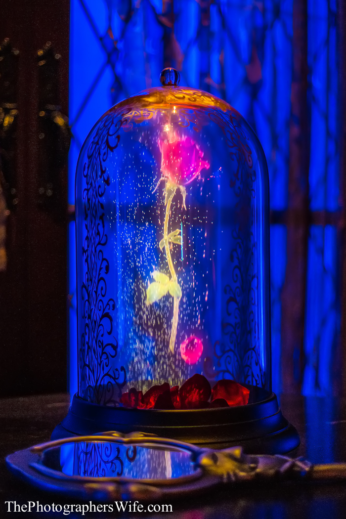 January Disney Trip-147