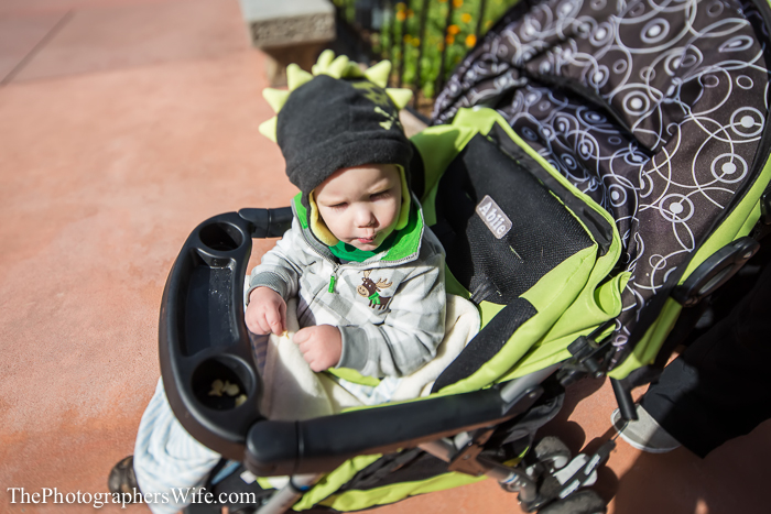 January Disney Trip-16