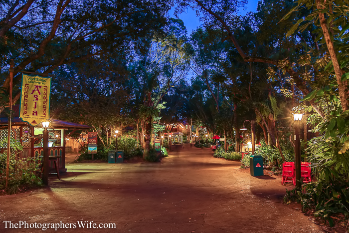 January Disney Trip-168