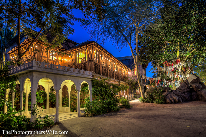 January Disney Trip-169