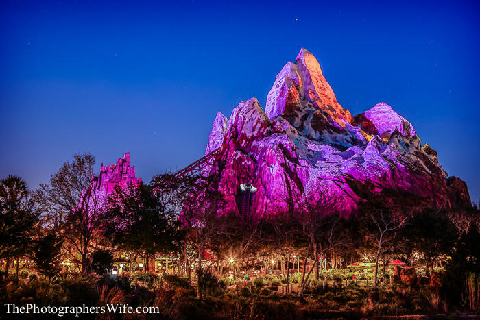 January Disney Trip-171